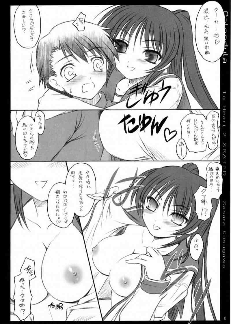 calendula 11ページ