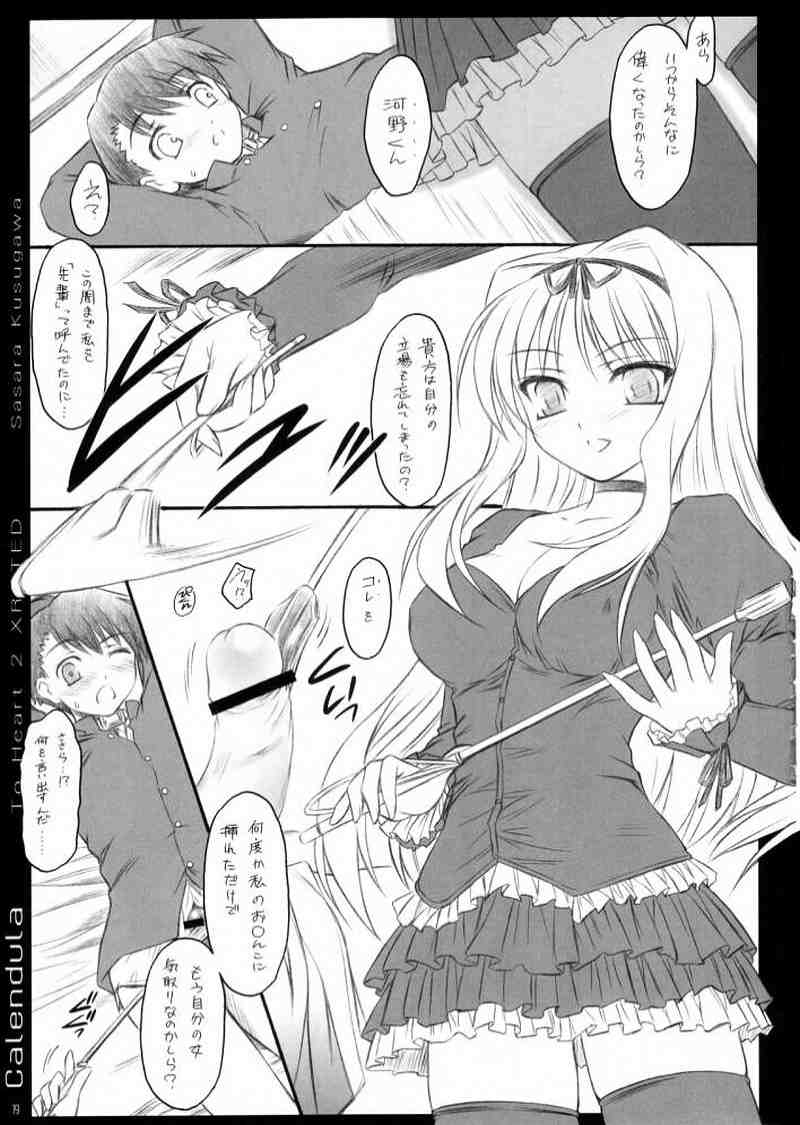 calendula 18ページ