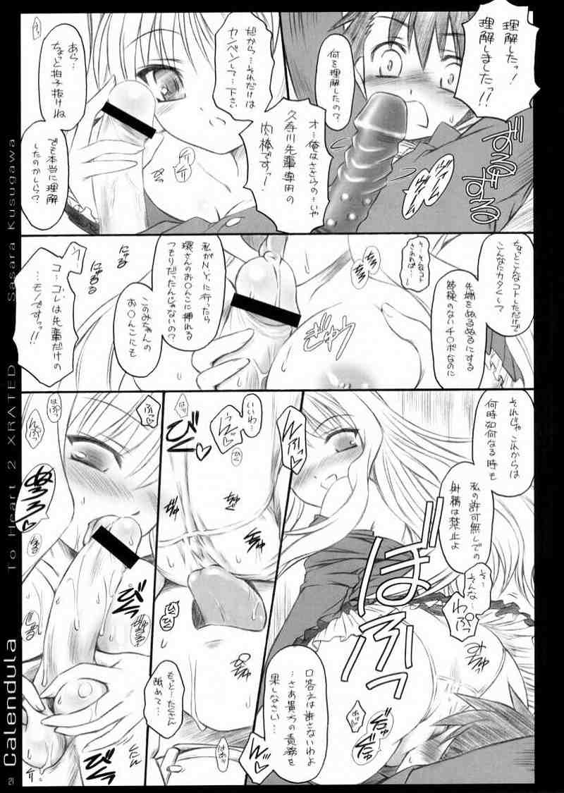 calendula 20ページ