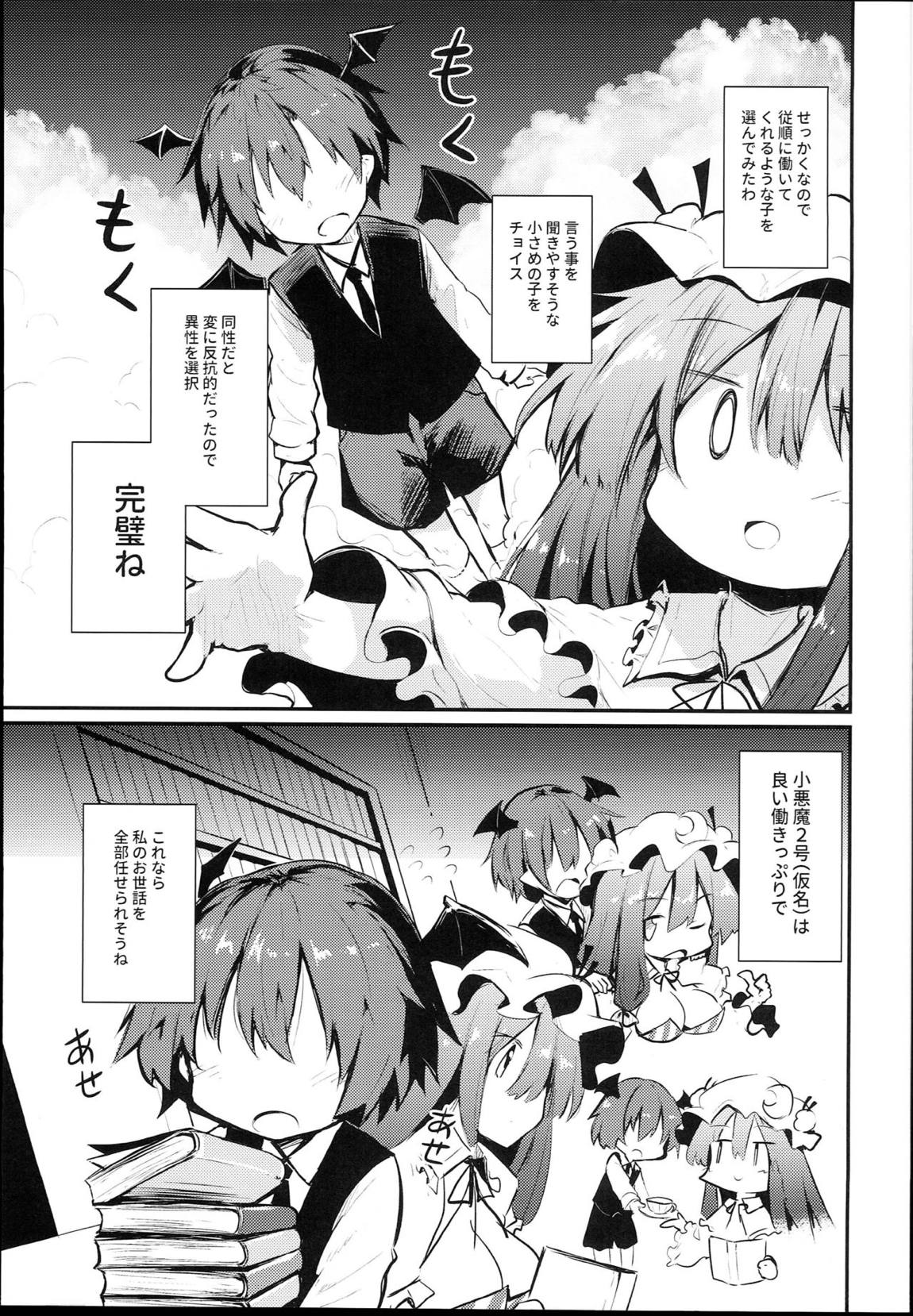 スキだらけパチュリー様 5ページ