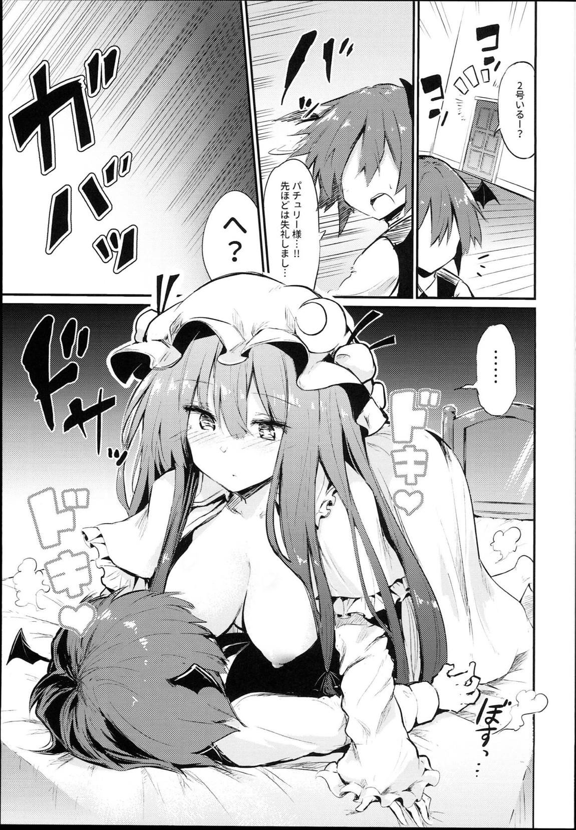 スキだらけパチュリー様 13ページ