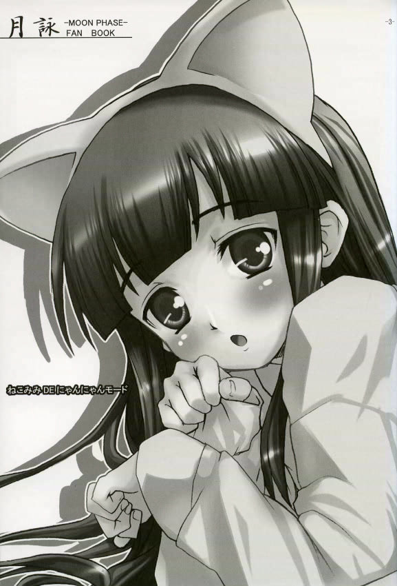 ねこみみDEにゃんにゃんモード 2ページ