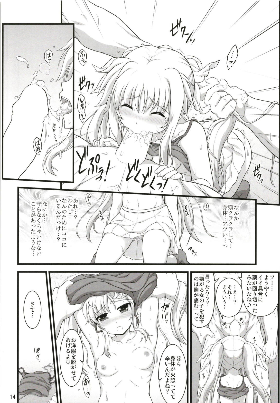 フェイトアフェクション 13ページ