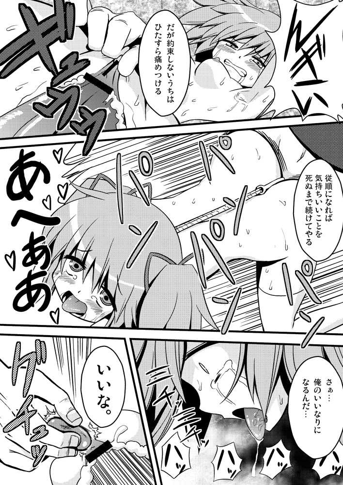 Dの魔法少女総集編 17ページ