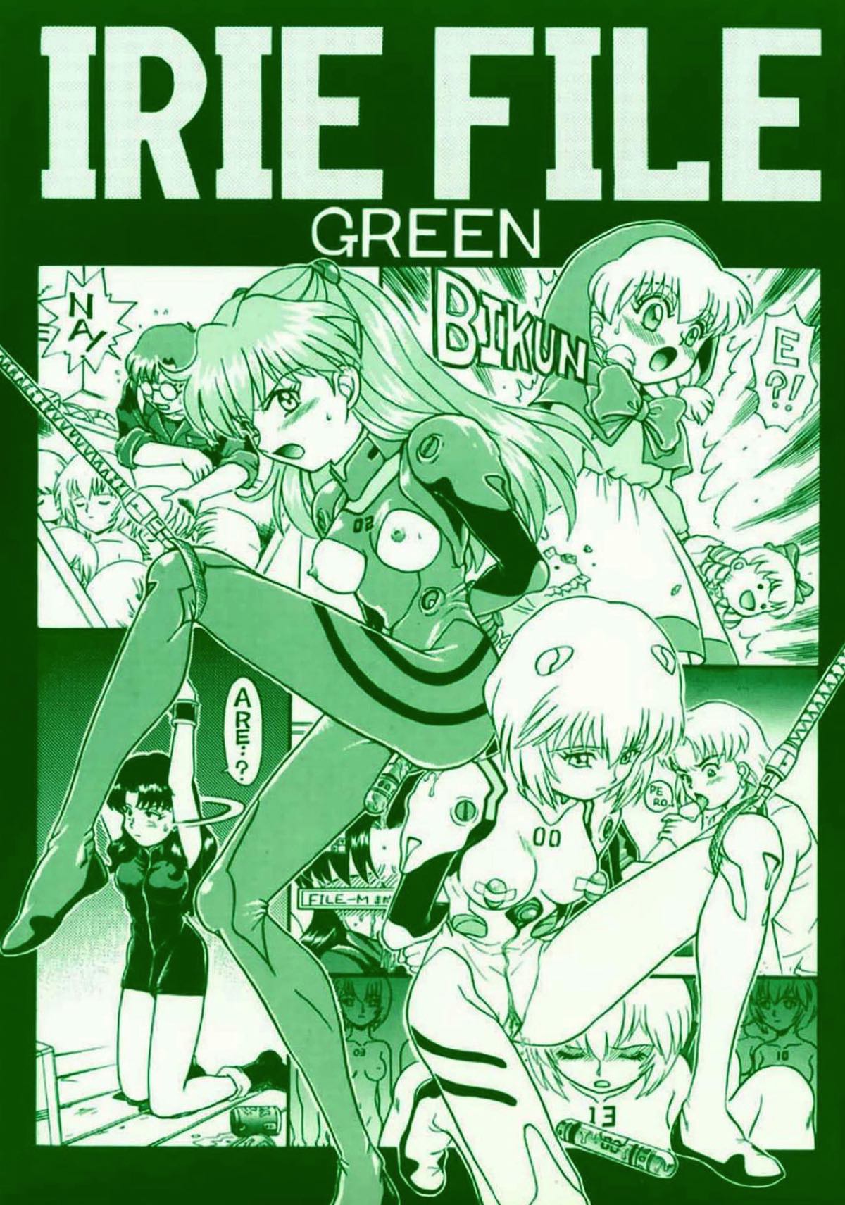 IRIE FILE GREEN 1ページ