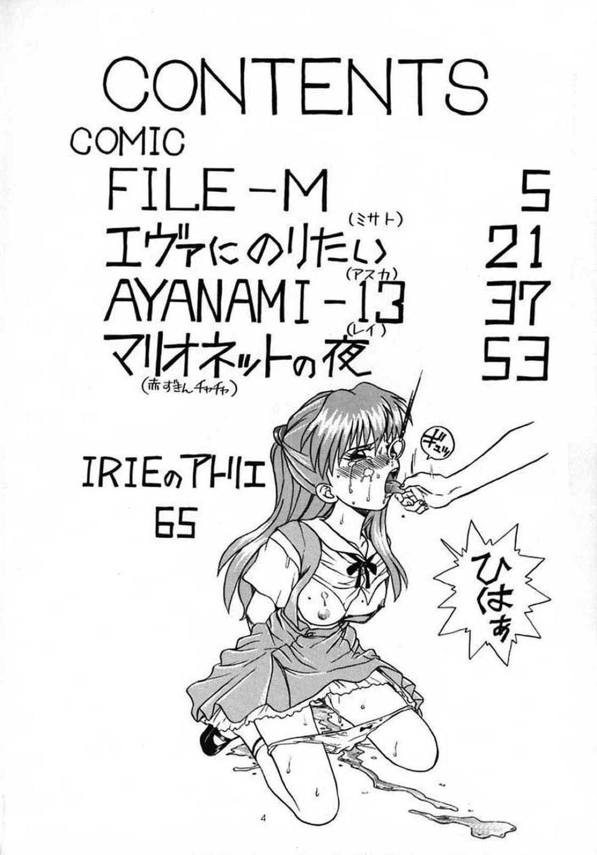 IRIE FILE GREEN 2ページ