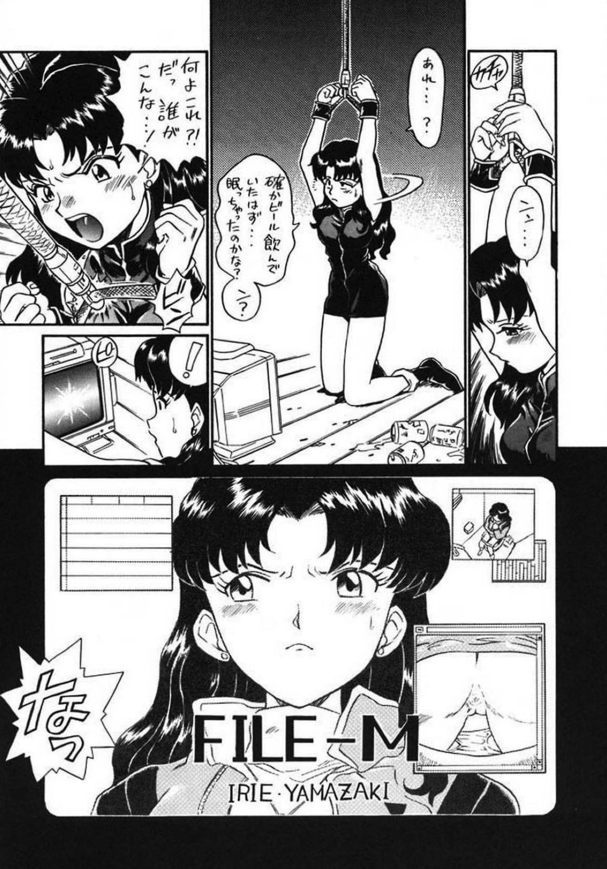 IRIE FILE GREEN 3ページ