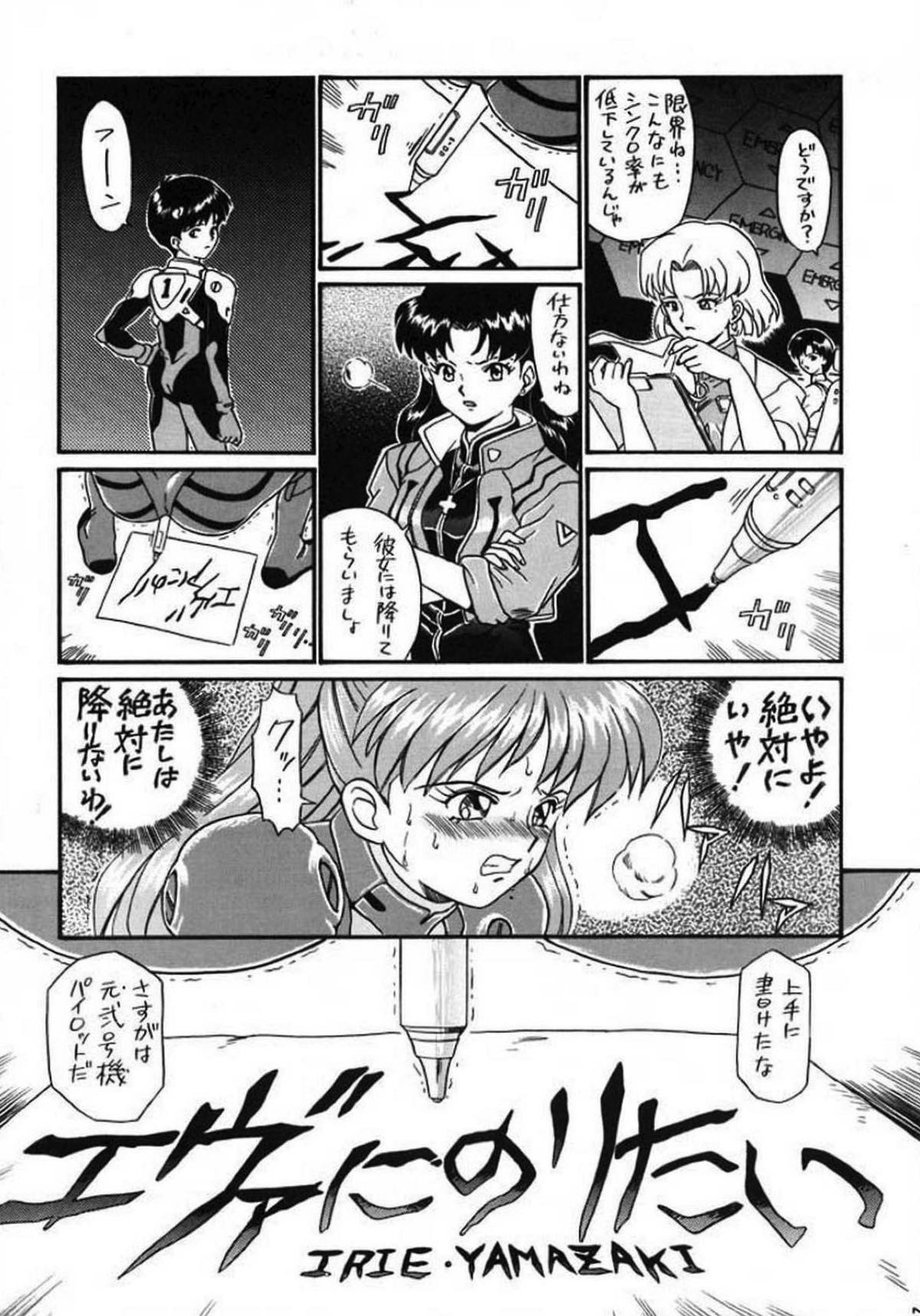 IRIE FILE GREEN 19ページ