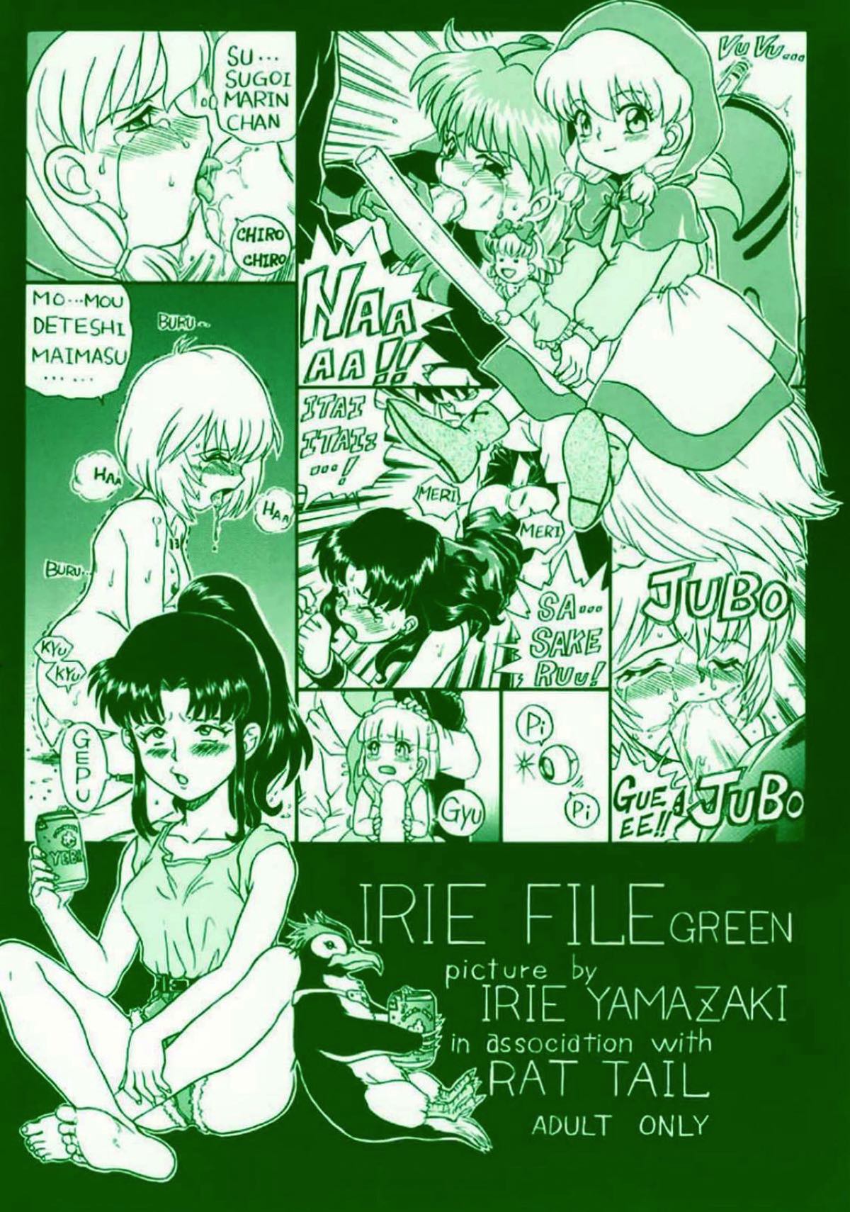 IRIE FILE GREEN 64ページ