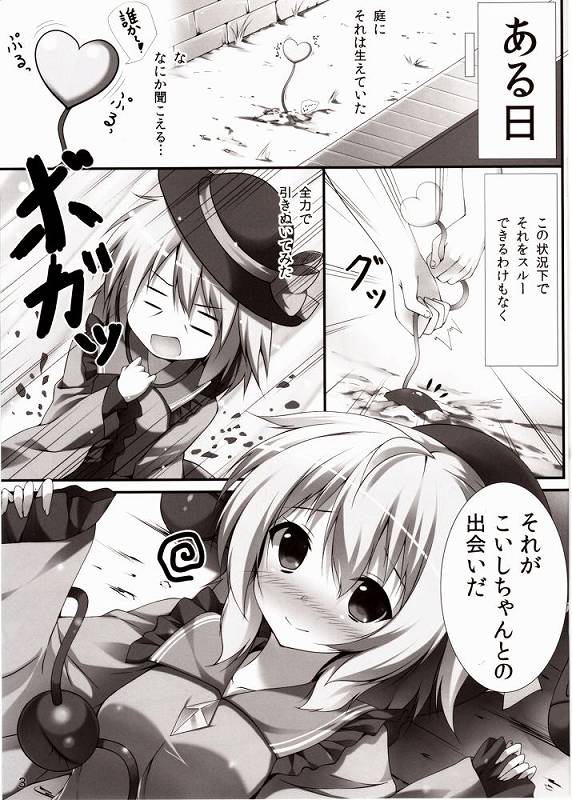 こいしえっち 2ページ