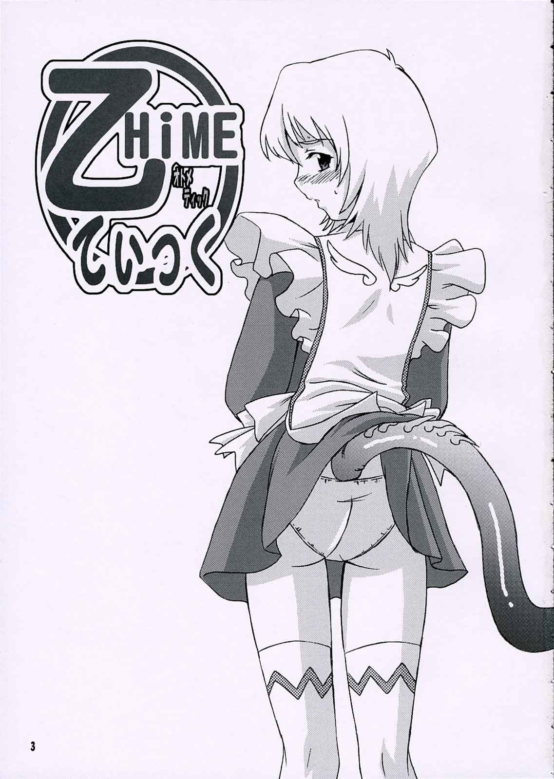 乙HiMEてぃっく 2ページ