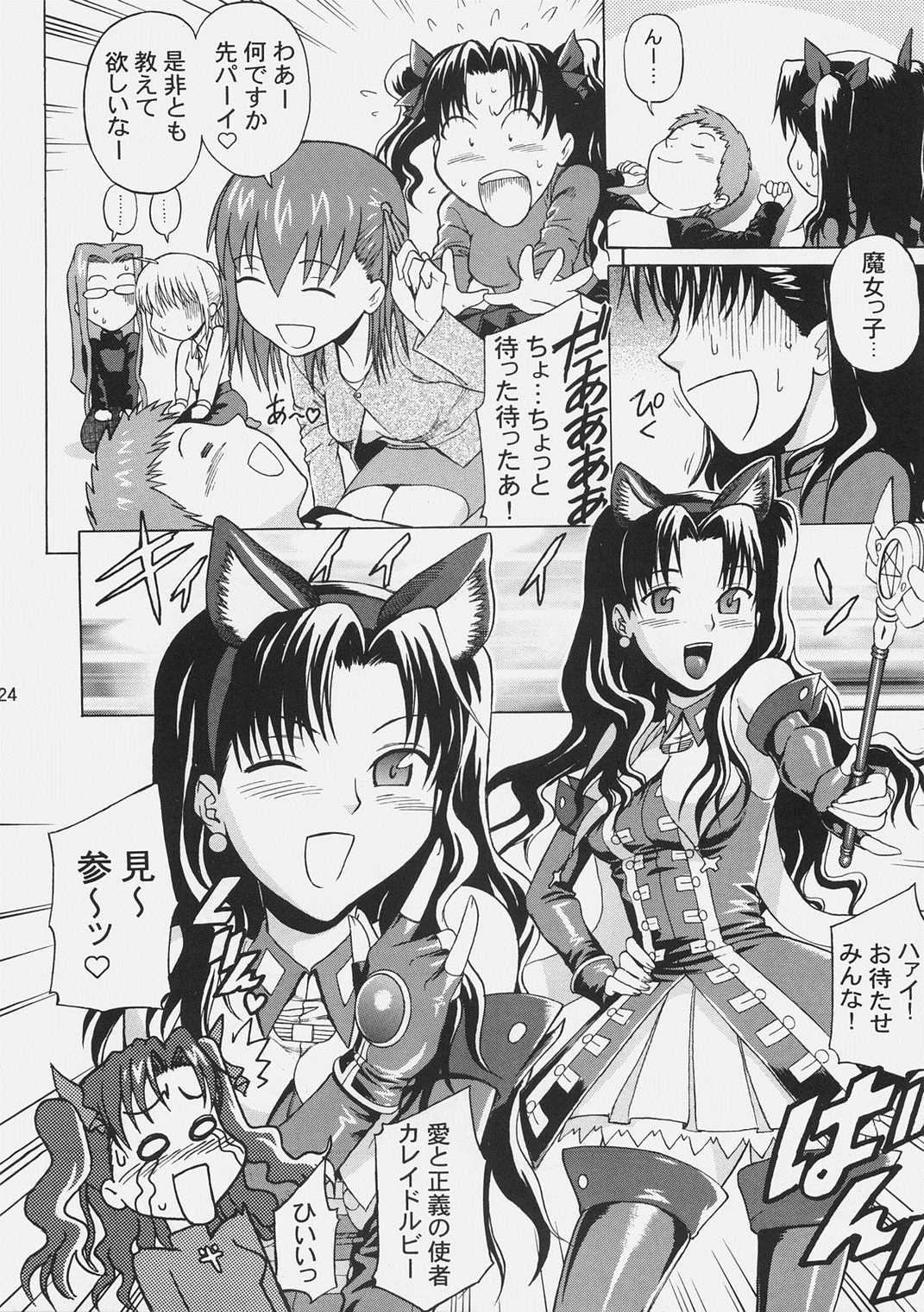 Fate delusions of grandeur 23ページ