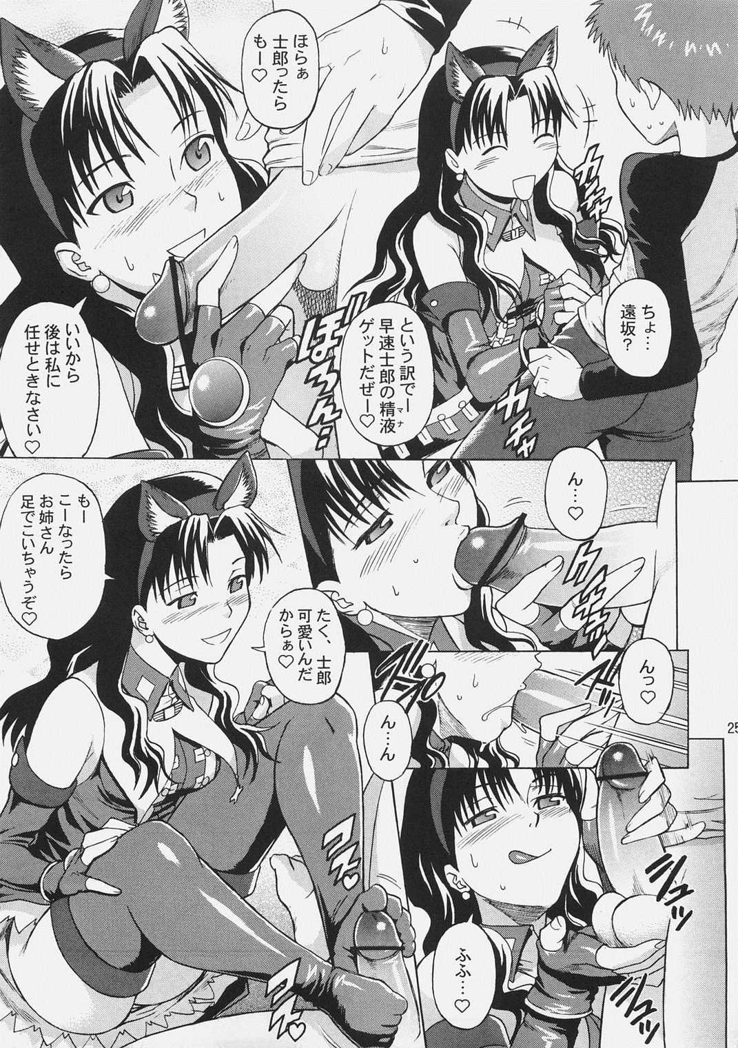 Fate delusions of grandeur 24ページ