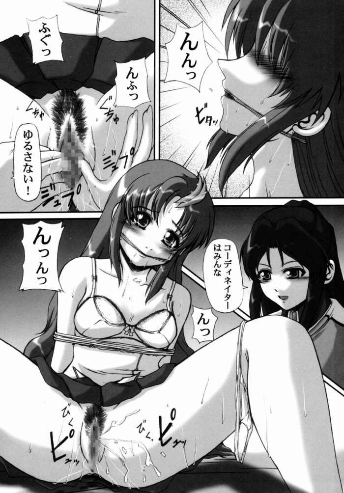 My Milky Way FINAL -Lacus Mix- 13ページ